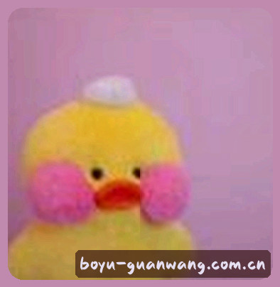 孙莉